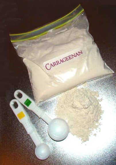 Carrageenan powder